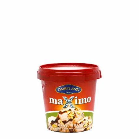 Dairyland Caramel Nuts Ice Cream 175Ml